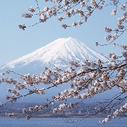 �ձ��������ξ�