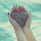 ������վ