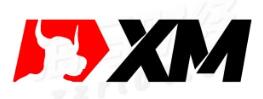 XM外汇官网 XM外汇官网