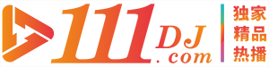 111DJ������