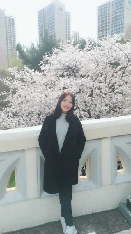 ����ѩ���������