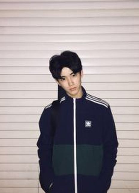 �����ܸ�������