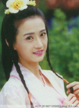 ɣ�ݸ�������