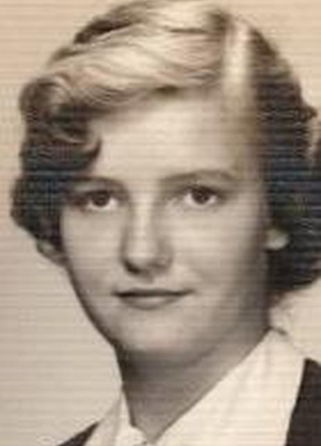 �������������˸�������