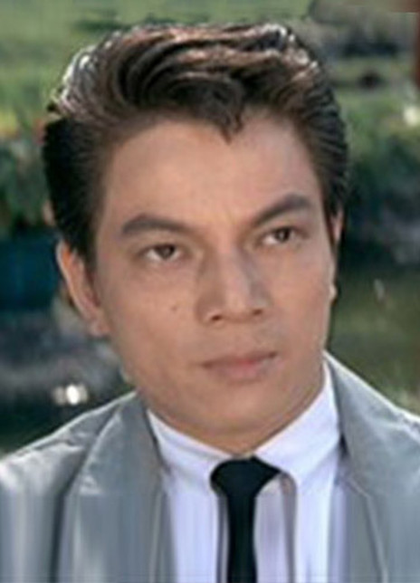 ֣�׸�������