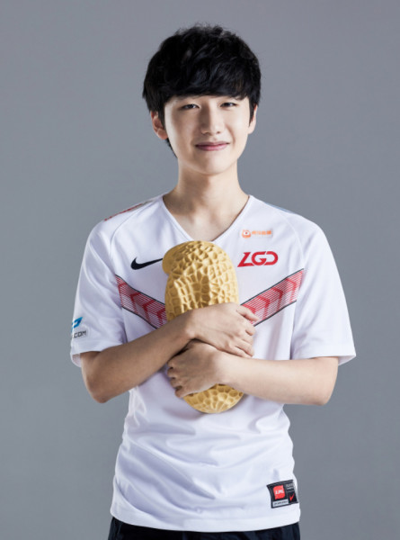 �����Ƹ�������