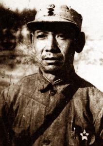 �ܽ�����������