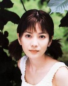 ��ʯ�ݸ�������