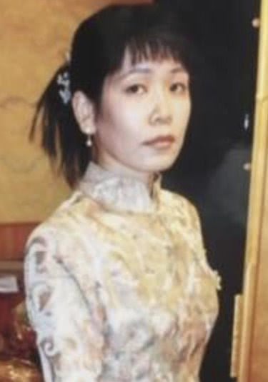 ʯ����������������