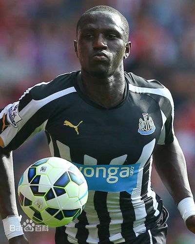 �����������Ƹ�������