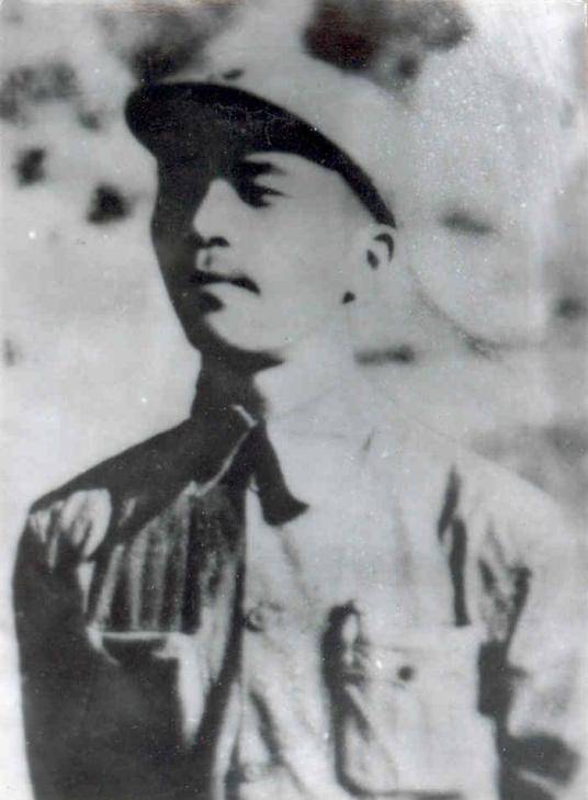 ��ɭ��������