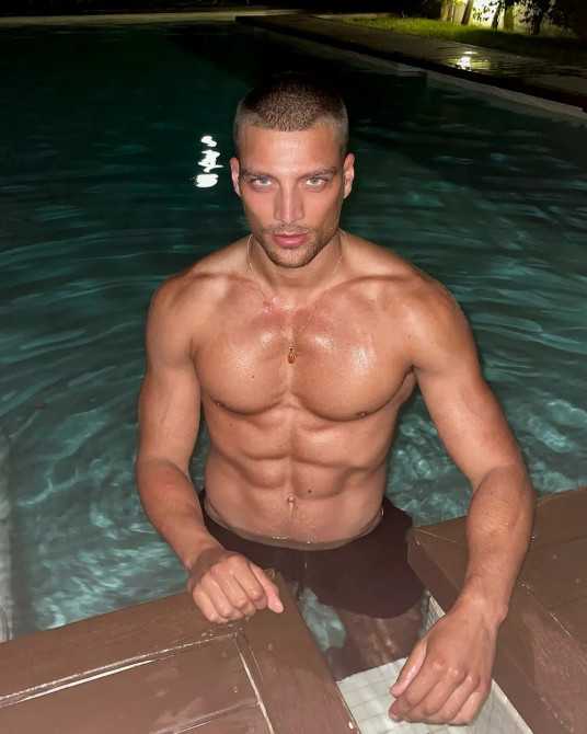 ���ɡ������ɸ�������