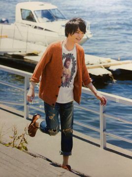 ϸ�ȼ�����������