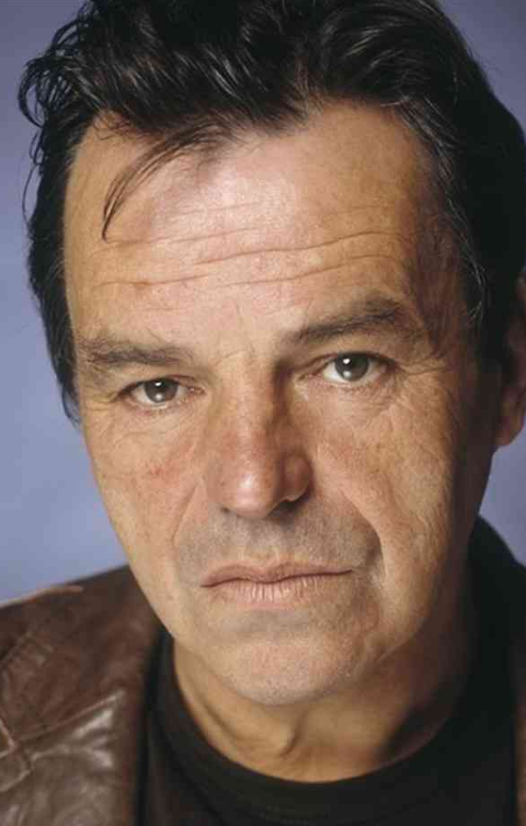 ������ǵ���������