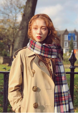 ��ʥ����������