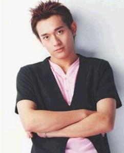 Ԫ������������