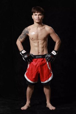 �Ƴ���������