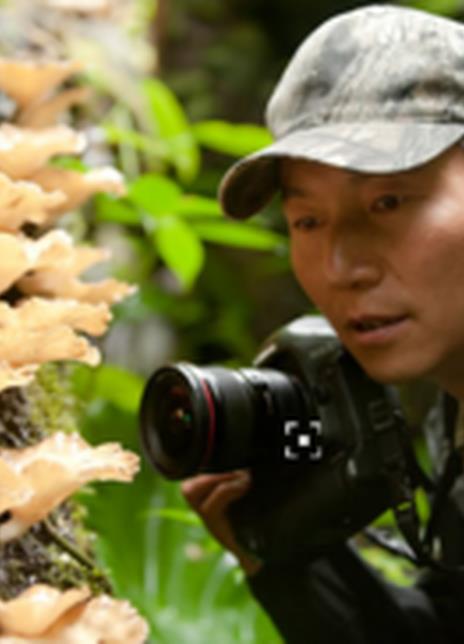 ��־ũ��������