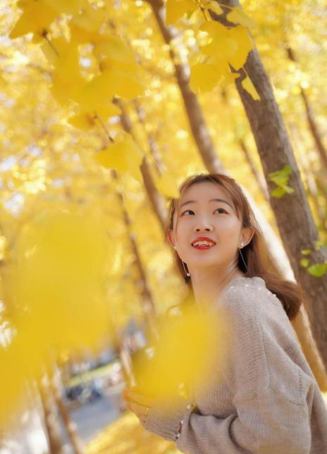 �����Ƹ�������