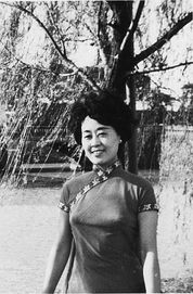 �����߸�������