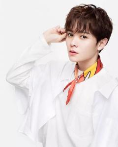 �ȳ�����������