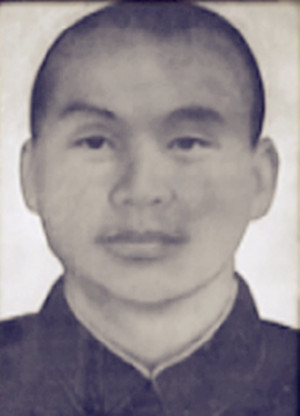 ��ʯ����������