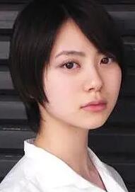 ɽ��������������