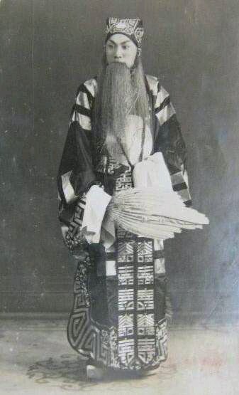 ����ɭ��������