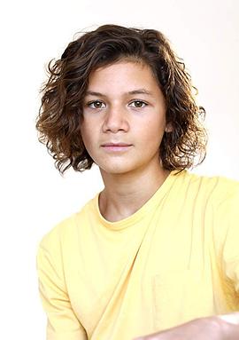 �µ�˹��������������