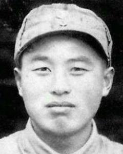 Ҷ�ɻ���������