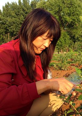 ³�ݷ���������