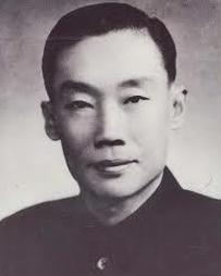 �ɭ��������