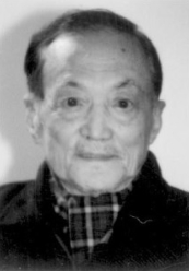 ���ָ�������