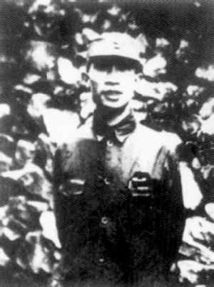 ���Ƹ�������