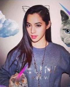 ʯ���Ƹ�������