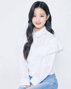 ��Ա����������