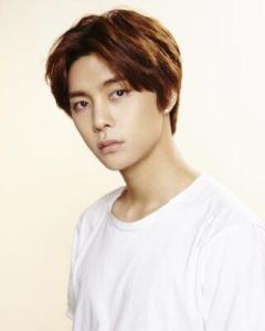 ��Ӣ�Ƹ�������