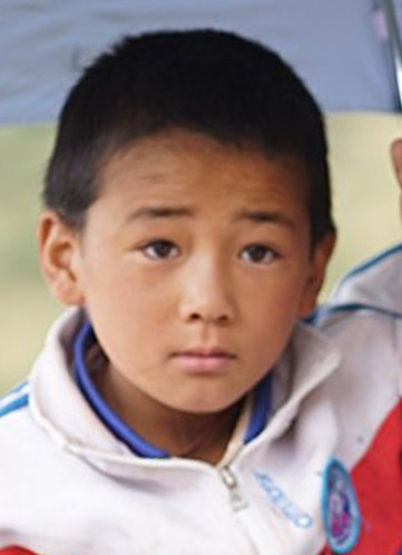 ������ܸ�������