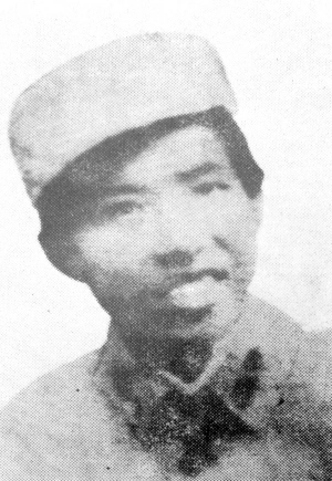 ��˸�������