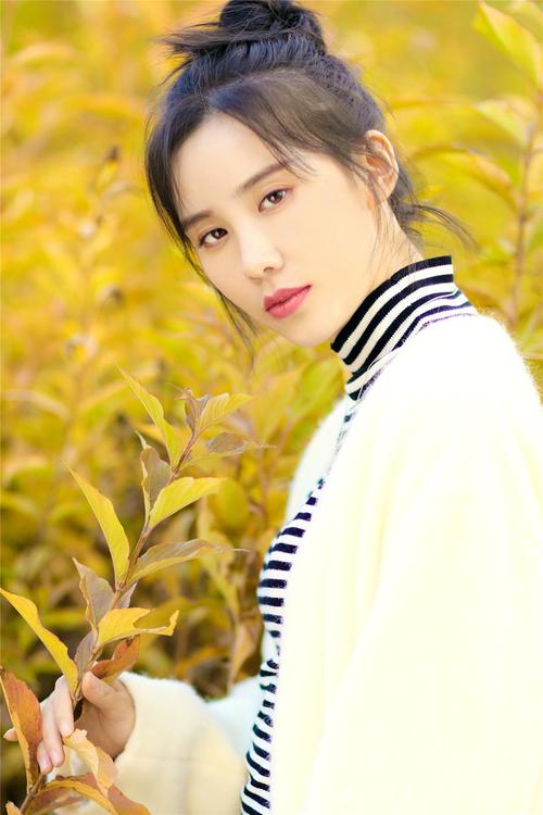 ����ѩ��������