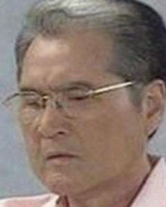 ʯӢ��������