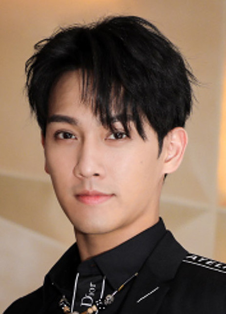 �����ܸ�������