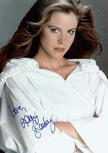 ���������ٸ�������