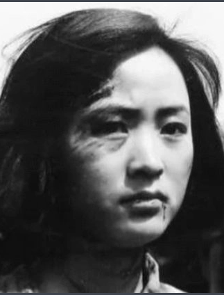 ��ҫ÷��������