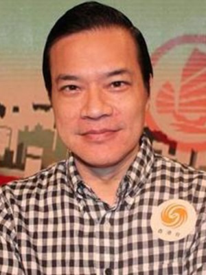 �鳯���������