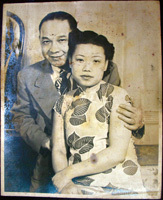 Ҷ������������