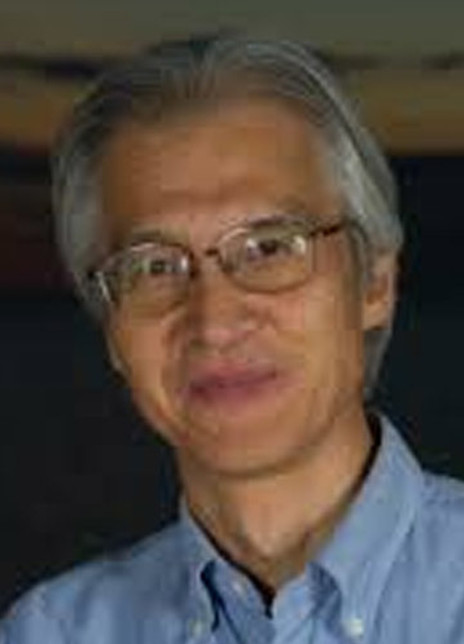 ɭ��������������