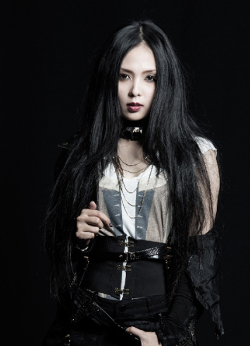 ��ľ��ʸ��������