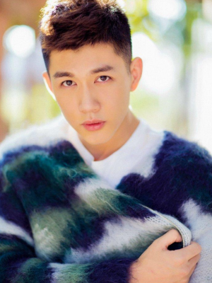 ����ܸ�������