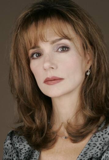 ���ݸ���������������